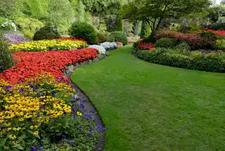 Landscaped Garden / Green Lawn